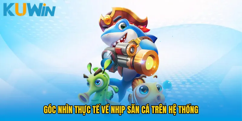 Góc nhìn thực tế về nhịp săn cá trên hệ thống
